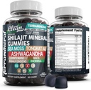 Gummies terraminales Shilajit avec la mer d'Irlande Moss Tongkat Ali Ashwagandha Lion Mane MACA Panax Ginseng Rhodiola & Cordyceps par Clean Nutra (1)