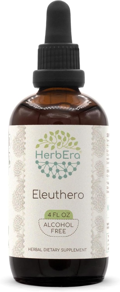 HerbEra Eleuthero B120 Teinture d'extrait de plantes sans alcool, gouttes liquides concentrées naturelles (Eleutherococcus Sensicosus, Ginseng sibérien) 4 fl oz