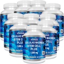 VITAMISAN 10 flacons Celulas Madres Stem Cell Plus Capsules