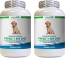 Probiotique de chien pour mauvaise respiration - Dog Premium PROBIOTICS - Savory Saveur de boeuf - Arrêts Diarrhée Mauvaise respiration à gaz - Santé des Guts - Dog enzymes digestives - 2 bouteilles (120 traites)