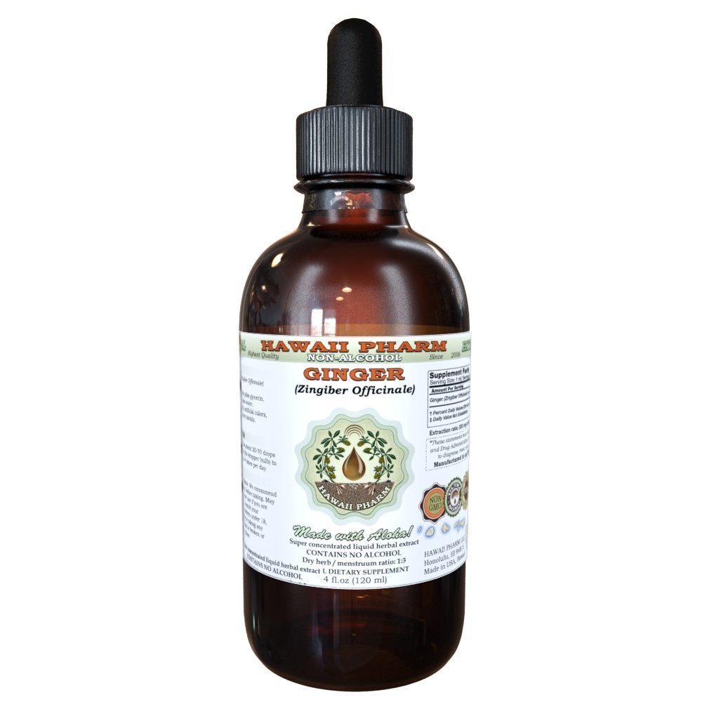 Gingembre Extrait liquide sans alcool, Gingembre biologique (Zingiber officinale) Glycérite séchée à la racine Hawaii Pharm supplément naturel à base de plantes 2 oz