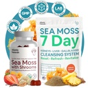 Atlantic Naturals Sea Moss Superfood Bundle - La mousse de mer avec des champignons et 7 jours de nettoyage du rein, du foie et de la vésicule - Défense, Focus & Detox Support - Lion's Mane, Reishi, Dandelion Root & More