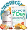 Atlantic Naturals Sea Moss Superfood Bundle - La mousse de mer avec des champignons et 7 jours de nettoyage du rein, du foie et de la vésicule - Défense, Focus & Detox Support - Lion's Mane, Reishi, Dandelion Root & More
