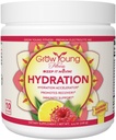 Grow Young Fitness Poudre d'hydratation - Lémonade aux framboises, Mélange d'électrolyte Premium pour l'hydratation proactive, les vitamines et sans sucre (1 emballage, 30 portions)