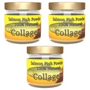 Collagène de Salcoll - 100% naturel bioactif en poudre de collagène marin - Non aromatisé, Kosher, peut aider os, articulaire, peau, santé des cheveux, 3 pack, trois mois approvisionnement