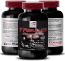 Natural Stamina Boost - TRIBULUS TERRESTRIS Extract - Strength & Activity Support, Energy Optimization Formula, Plant-Based Power, Body Performance Blend, Active Recovery, Energy Flow 1Bot 90Tabs