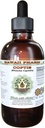Coptis extrait liquide sans alcool, Coptis (Rhizoma Coptidis) racine séchée Glycérite Hawaii Pharm supplément naturel à base de plantes 2 oz