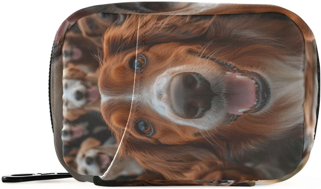 Groupe d'organisateurs de pilules hebdomadaires Chiens Golden Retriever Petit sac à pilules Portable Travel Pill Case 7 jours Support de supplément de vitamine avec fermeture éclair pour le camping familial