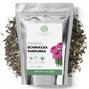 Echinacée biologique Purpurea 4 oz (113g), thé d'échinacée séchée certifié USDA, herbes de qualité supérieure, fleur de cône violet, coupé et tamisé