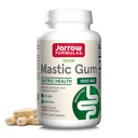 Formules de Jarrow Gum mastic 1000 mg - 120 capsules de Veggie - Formule naturelle pour la santé stomacale, duodénale et buccodentaire - 60 portions