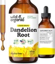 Extrait de racine de dandelion sauvage et biologique - Liver Cleanse Detox Support - Teinture de dandelion pour la santé du foie - Vegan, sucre et supplément liquide sans alcool - 4 fl oz