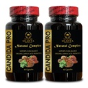 Candida Support Complex - Capsules d'acide caprylique biologique, Supplément Candida, Herbes naturelles pour la désintoxication intestinale, la régularité des adultes et la santé des Guts - 2 bouteilles 120 capsules