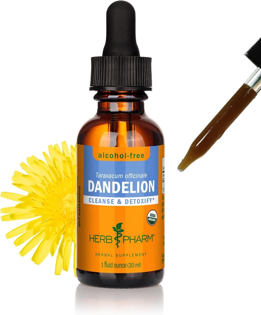Extrait liquide de dandelion biologique certifié Herb Pharm pour nettoyage et désintoxication, glycérite sans alcool, 1 Fl Oz