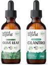 Teinture de feuille d'olive sauvage et biologique 2 fl oz & Cilantro Teinture 2 fl oz