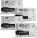 30 000 MG Shilajit Comprimés, 100% Shilajit Pure, Himalayan Organic, Shilajit pour hommes et femmes riches en acide fulvic & 85+ Trace Minerals, Supplément Shilajit pour l'énergie et le système immunitaire, 240 Compte