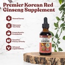 Ginseng actif Panax rouge coréen Ginseng avec ginsénosides naturels - Liquide à absorption rapide - soutient l'énergie saine, la vitalité, l'humeur et plus