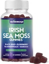 Gommies de mousse de mer d'Irlande - avec des graines noires Elderberry Bladderwrack Burdock Turmeric Omega-3 Vitamines C D3 Zinc - Suppléments Seamoss pour les adultes Femmes Hommes - Sans sucre sans gluten Vegan