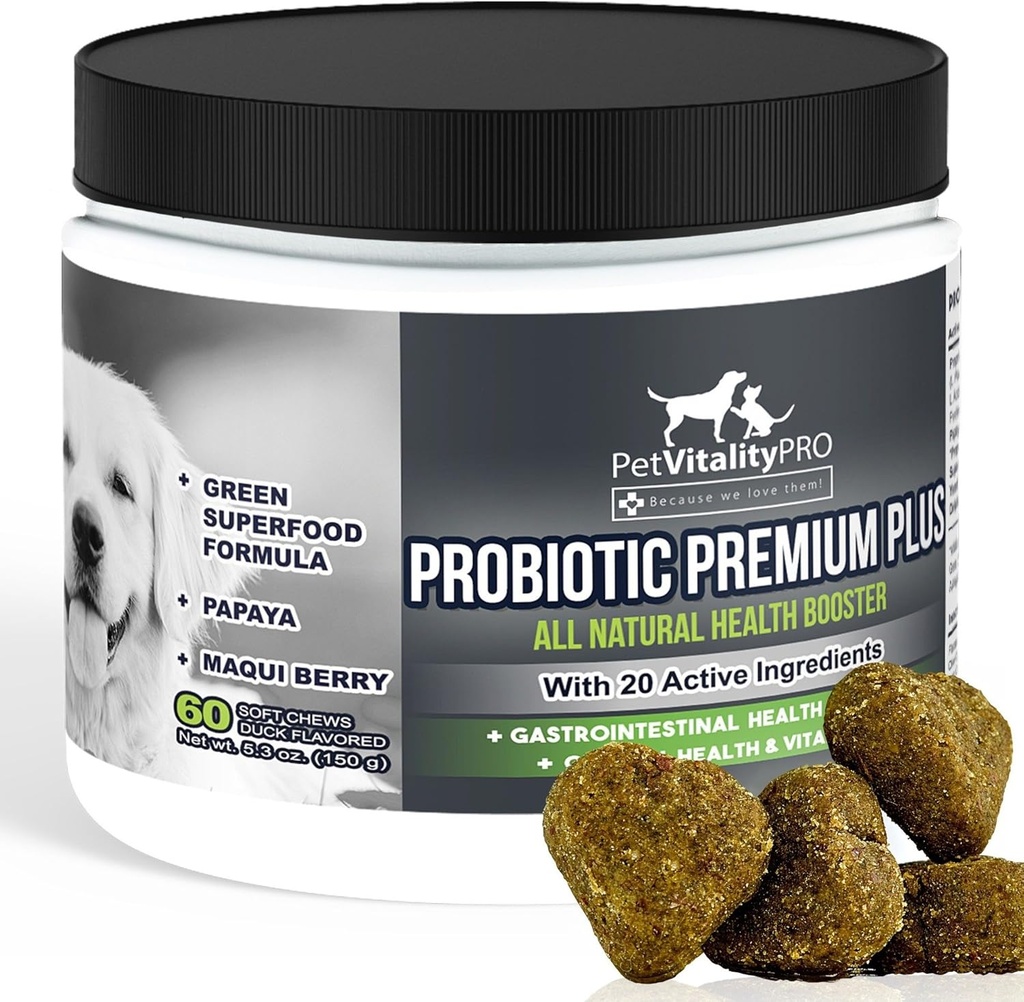 Probiotiques pour chiens avec des enzymes digestives naturelles ● 4 Bill CFUs/2 Soft Chews ● Chien Diarrhée Mise à l'aise Stomach Levure Gaz Mauvaise Immunicités respiratoires Allergies Peau Démangeaisons Spots chauds ● 60 Compte