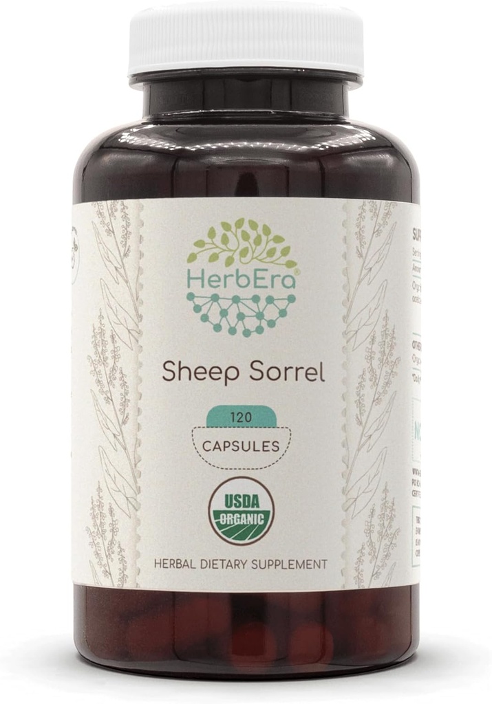 HerbEra Sheep Sorrel USDA Organic 120 Capsules (Rumex Acetosella) Herb séché (120 Capsules)