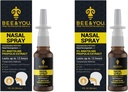 Abeille et vous Spray nasal naturel de la propolis 1 Fl oz.