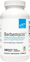 XYMOGEN Berbemycin - Supplément berbère avec racine de raisin de l'Oregon, graines de pamplemousse + extraits d'Uva Ursi - soutient l'équilibre microbien dans le IG Tract, Gut Health (120 capsules)