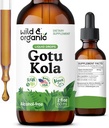 Teinture d'herbe Gotu Kola sauvage et biologique - Soutien du cerveau - Gotu Kola gouttes d'extrait liquide - Vegan, sucre et sans alcool Centella Asiatica Supplément - 2 fl oz