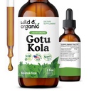 Teinture d'herbe Gotu Kola sauvage et biologique - Soutien du cerveau - Gotu Kola gouttes d'extrait liquide - Vegan, sucre et sans alcool Centella Asiatica Supplément - 2 fl oz