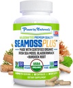 Power By Naturals SeaMoss Plus - USDA Capsules bio de mousse de mer irlandaise avec/sauvage Harvested Irish Seamoss, Bladderwrack & Burdock Root Immunity Supplement Sea Moss Pills for Adult 60Ct - 1 Pack