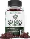 Gommies de mousse de mer d'Irlande - 3000MG - Formuled w/ Gummes de mousse de mer d'Irlande, bladderwrack et racine de dard, contenant des vitamines et minéraux essentiels - Supplément antioxydant-rich, 60 Gummes de mousse de mer pour adultes