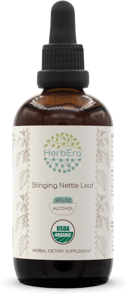 HerbEra Stinging Nettle Leaf A120 USDA Teinture biologique , Extrait d'alcool, gouttes à base de plantes à haute puissance , Bouilloire biologique certifiée (Urtica Dioica) Feuille séchée (4 oz)