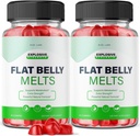 les laboratoires de taille - Flat Belly Melts Keto ACV Gummies pour la perte de poids avancée avec vinaigre de cidre d'Apple, supplément aide à réduire la graisse de ventre (120 Gummies)