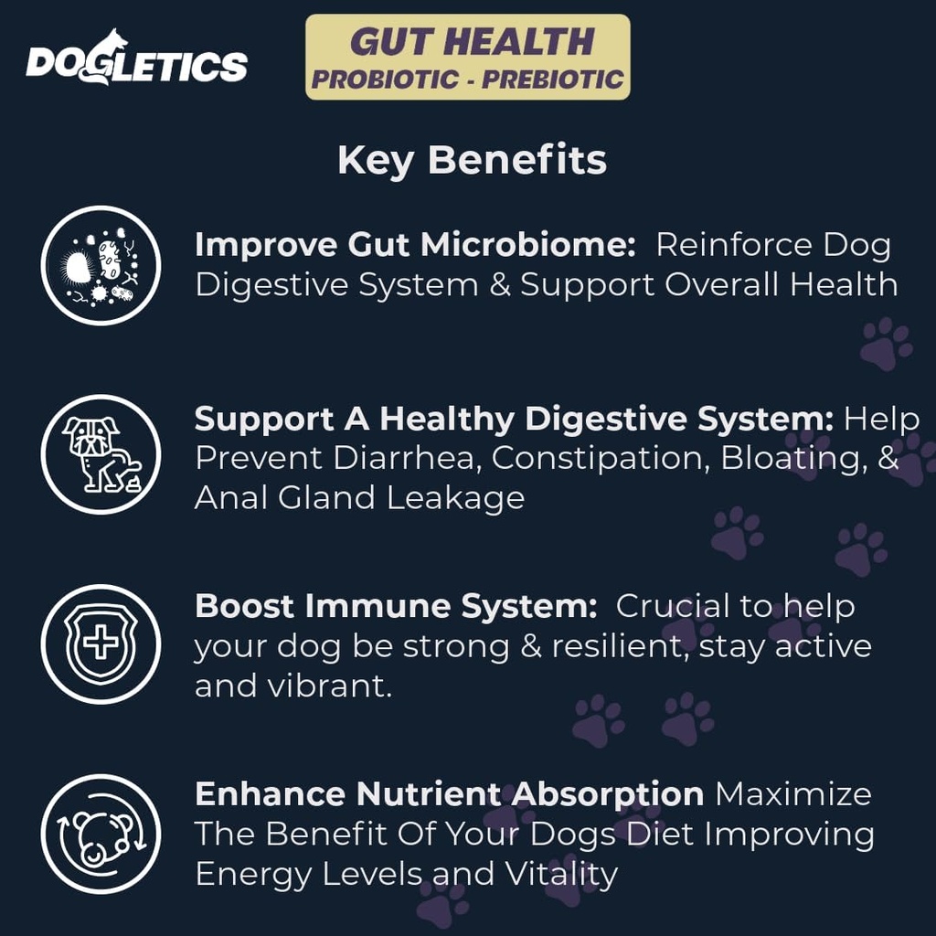 Gut Health Probiotic & Prebiotic - 90ct Soutien Stomach Microbiome, prévenir les problèmes digestifs, réduire les problèmes de Gland anal, améliorer la fonction immunitaire et l'énergie globale