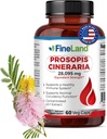FineLand Prosopis Cineraria 40:1 Extrait – 28 000 mg Max Strength – Full Spectrum – Supporte le cholestérol, la circulation et la santé artérielle – Non-OGM, sans gluten – 60 capsules végétaliennes