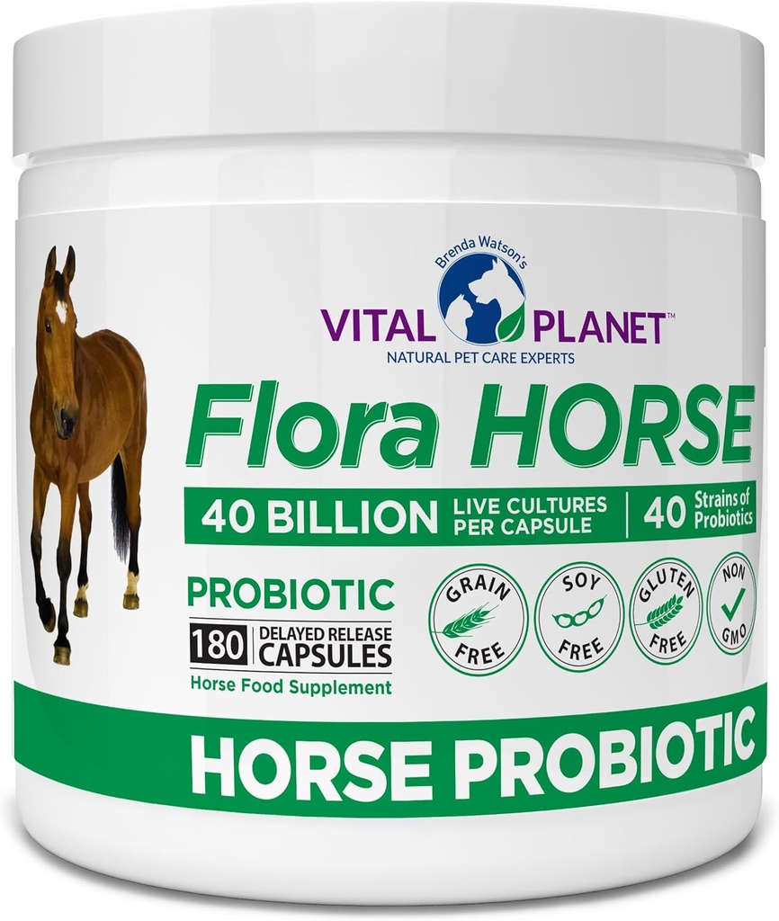Planète Vital - Probiotique Flora Horse, Probiotiques Hippiques à haute puissance avec Prébiotiques, 40 milliards d'UFC vivants à partir de souches multiples, support digestif et immunitaire, 180 capsules de libération retardée (180 jours)