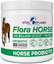 Planète Vital - Probiotique Flora Horse, Probiotiques Hippiques à haute puissance avec Prébiotiques, 40 milliards d'UFC vivants à partir de souches multiples, support digestif et immunitaire, 180 capsules de libération retardée (180 jours)