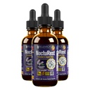 Supplément avancé de soutien du sommeil - Livraison liquide pour une meilleure absorption - Mélatonine, Magnésium, Théanine, Valérie, Passionflower, Camomile & More!
