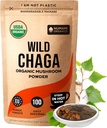 Poudre de champignons de Chaga biologique - Poudre fine pour faire du thé de Chaga pour la défense immunitaire et plus d'énergie, le Chaga biologique est cultivé sauvage et récolté durablement en Europe, certifié USDA Organic, 100 portions