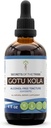 Secrets de la tribu Gotu Kola Tecture Extrait liquide sans alcool, Gotu Kola (Centella Asiatica) Herbe séchée (4 Fl Oz)