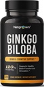 Ginkgo Biloba 120mg - Ginkgo Biloba Extra Strength Capsules d'extrait - 120 Compte