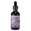 Formules originales de Christopher Kid-e-Reg Bowel Tonic – Formule à base de plantes pour enfants – Great Taste – 2 oz