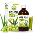 Basic Ayurveda Gooseberry + Aloe Vera Juice – 16,23 Fl Oz (480ml)