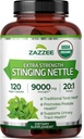 Zazzee USDA Sting Organic Nettle 20:1 Extrait, 9000 mg Résistance, 120 Capsules Vegan, 4 mois d'approvisionnement, Concentré, Standardisé 20X Extrait, certifié biologique, 100% végétarien, tout naturel, non-OGM