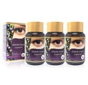 Vision Smart Supreme - Supplément de l'œil supérieur, ingrédients nutraceutiques premium avec 210mg d'anthocyanes purs de D3R et C3R, Capsules de Veggie. Produit des États-Unis (3 bouteilles)