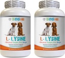 Soin immunitaire pour chien - Poudre de LYSINE pour chien - Forme de poudre pure - Support du système immunitaire - Vet recommandé - l-lysine pour chien - 2 bouteilles (16oz 453,6 grammes)