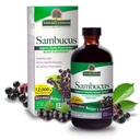 Réponse de la nature Sambucus Elder Berry Extract Sirup 8 Ounce ( 3 Pack )