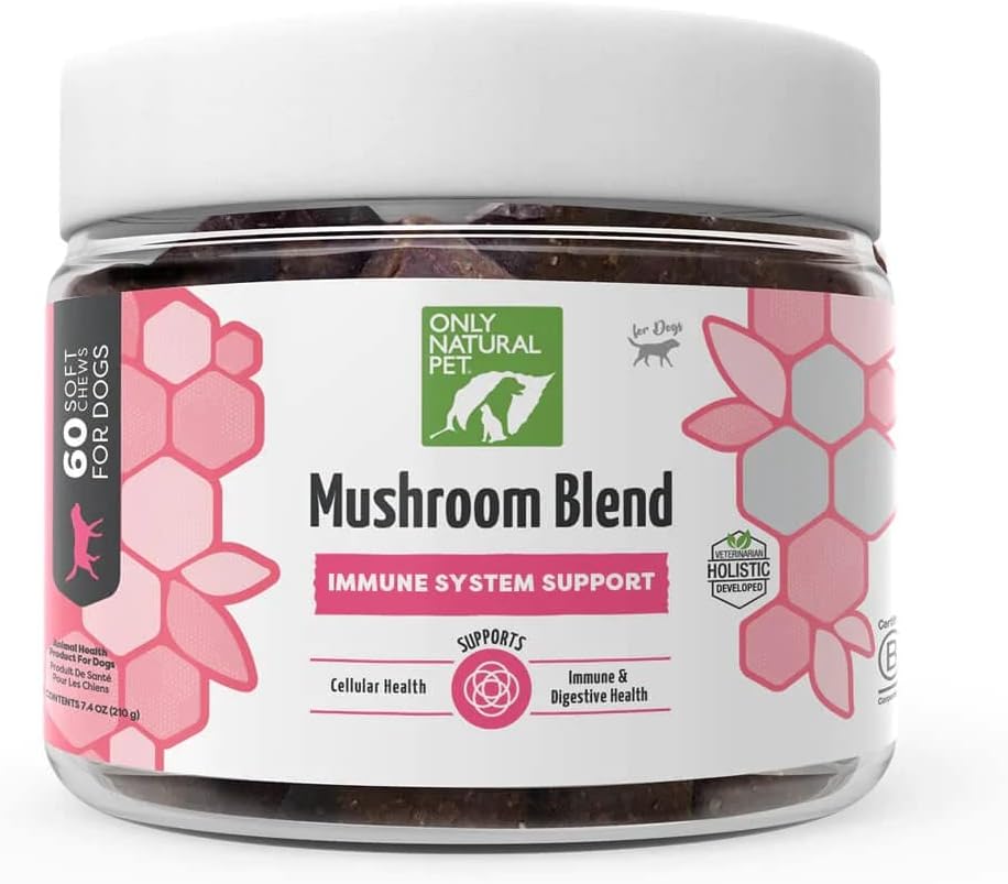 Un seul supplément de soutien du système de mélange de champignons d'animaux naturels pour chiens - Boost Healthy Cellular, Digestive, & Foie Fonction - Multivitamine Beta-Glucan & Antioxydant - Bacon Flavor 60 Soft Chews