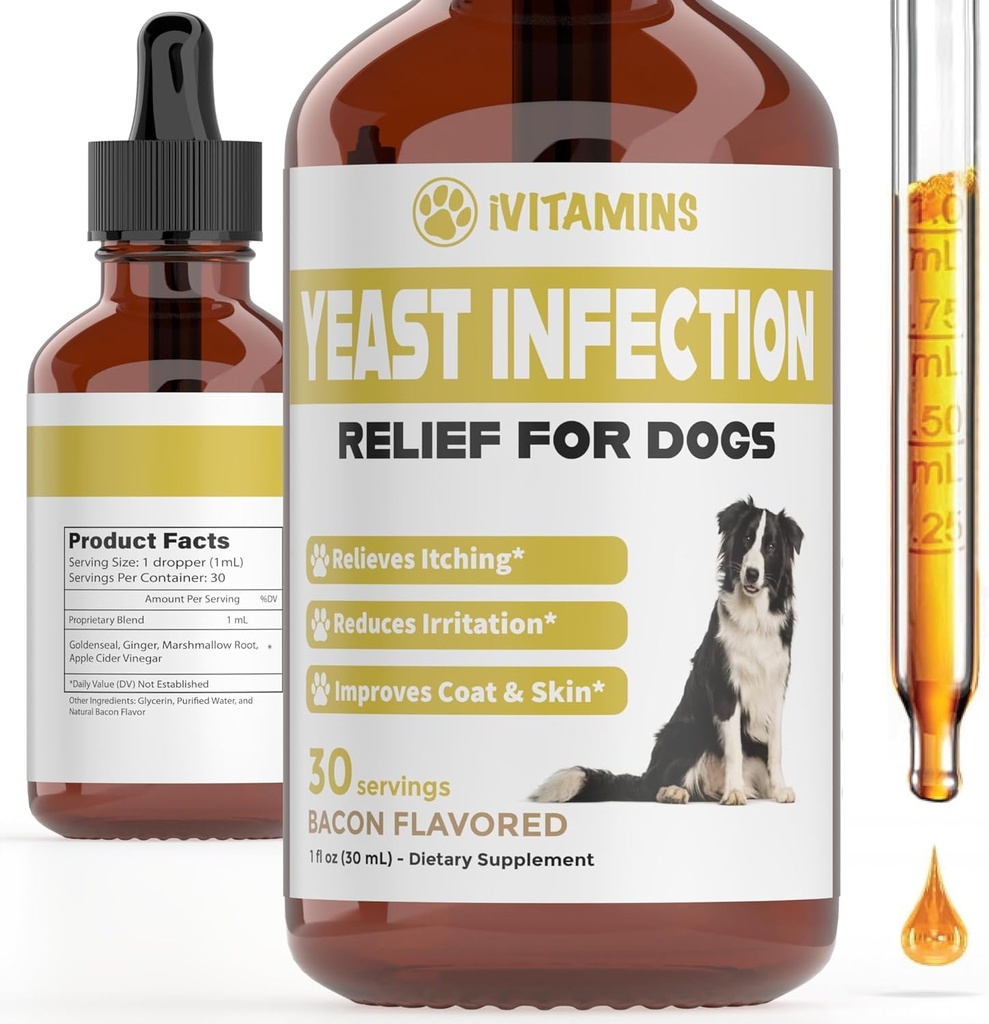 Traitement de l'infection des levures naturelles pour les chiens