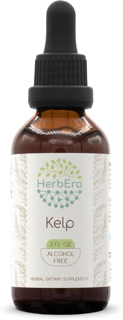 Kelp B60 Extrait d'herbe sans alcool Teinture, gouttes concentrées de liquide naturel Kelp (Ascophyllum nodosum) (2 fl oz)