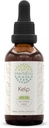 Kelp B60 Alcohol-Free Herbal Extract Tincture, Concentrated Liquid Drops Natural Kelp (Ascophyllum nodosum) (2 fl oz)