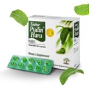 Dabur Pudin Hara Pearls - Suppléments journaliers de soins digestifs pour les hommes et les femmes, aide à éliminer les symptômes de Bloating, d'acidité, de flatulence et d'indigestation pour la santé digestive et gustative, 100 comtes (paquet de 10)
